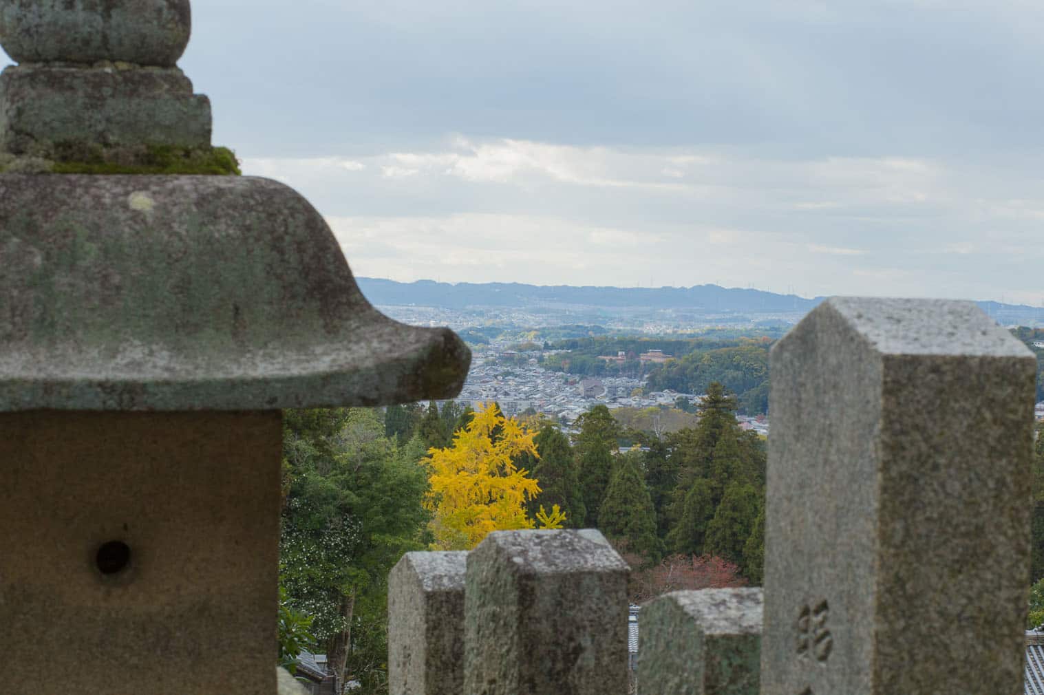 Visitando Nara Próximo Embarque Fiero cidade mística Japão 
