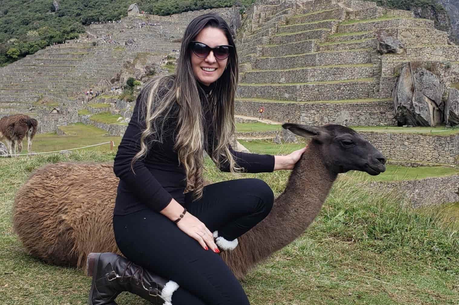 Machu Picchu Lhama