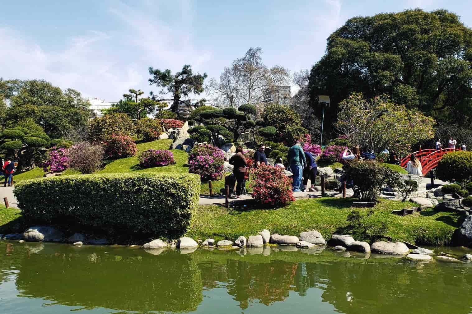 Jardim Japonês Plantas 