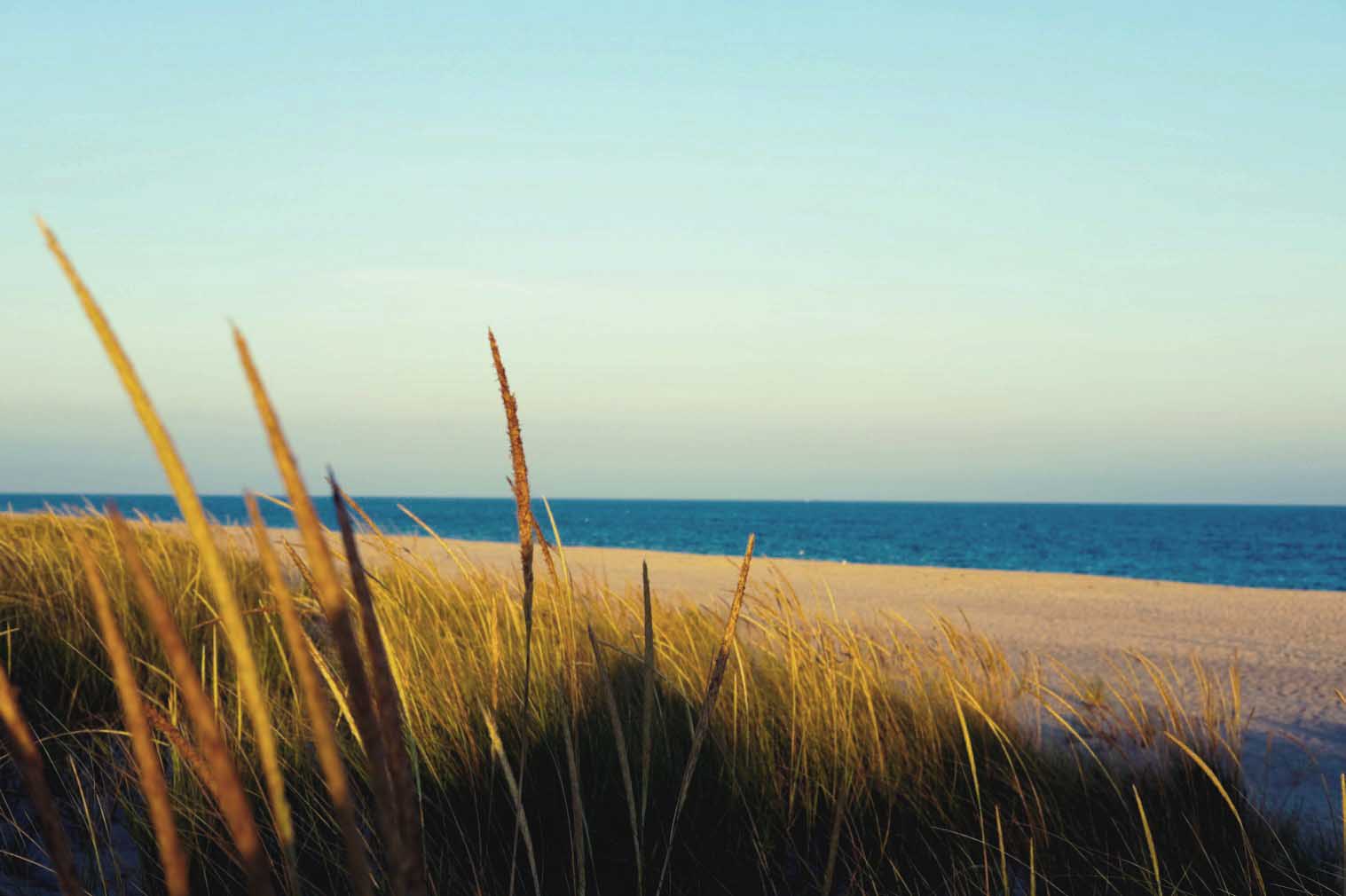 Hamptons Nova Iorque Inverno