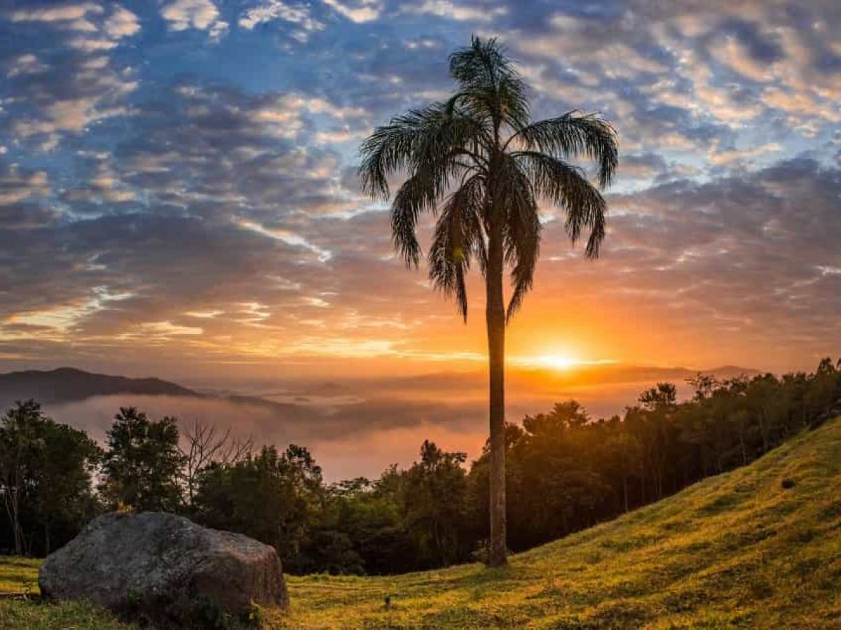 ATENÇÃO: ciclone, frio intenso e neve em Santa Catarina nos próximos dias -  Encantos de Santa Catarina