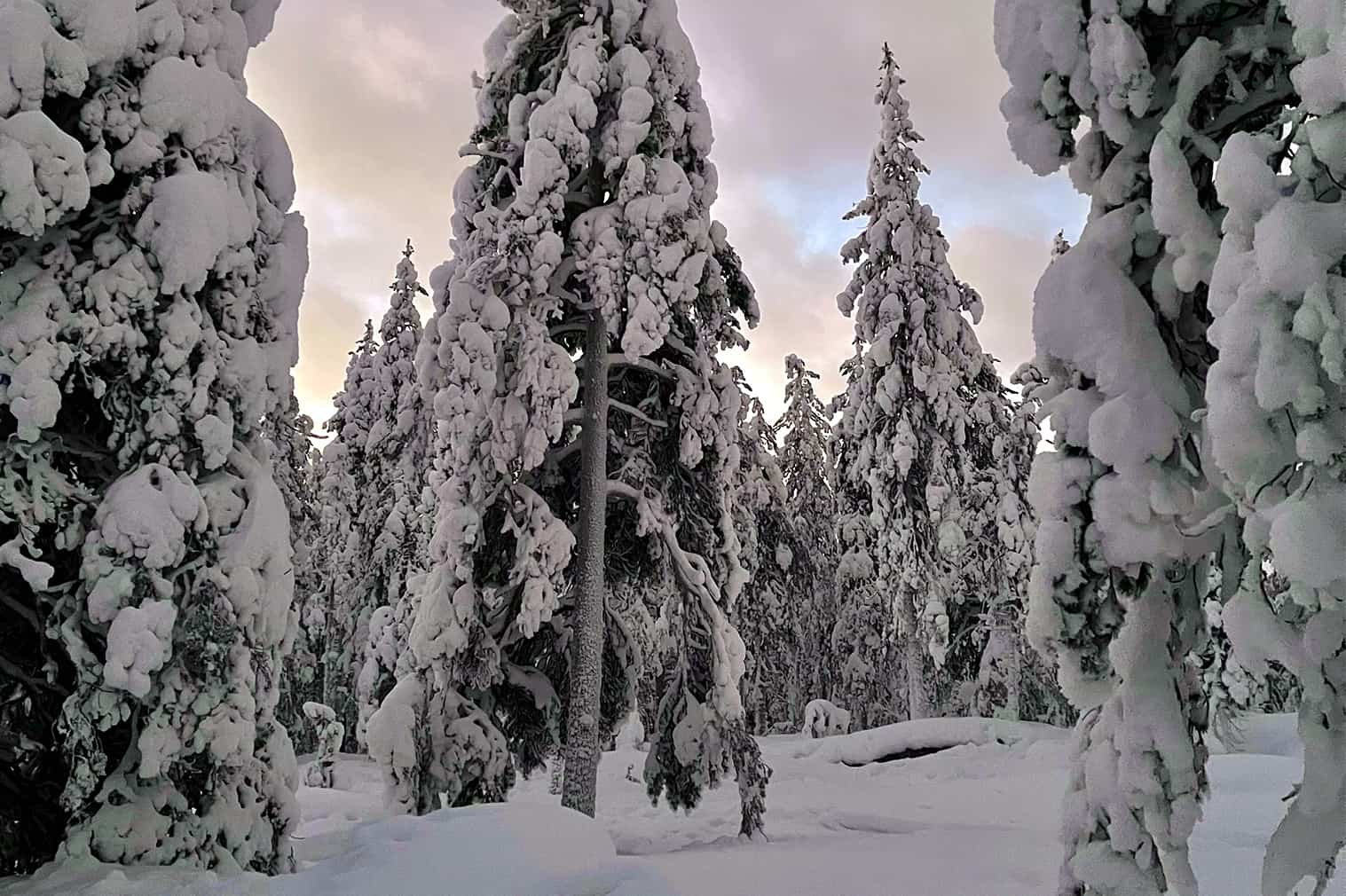 Levi Finlândia neve inverno