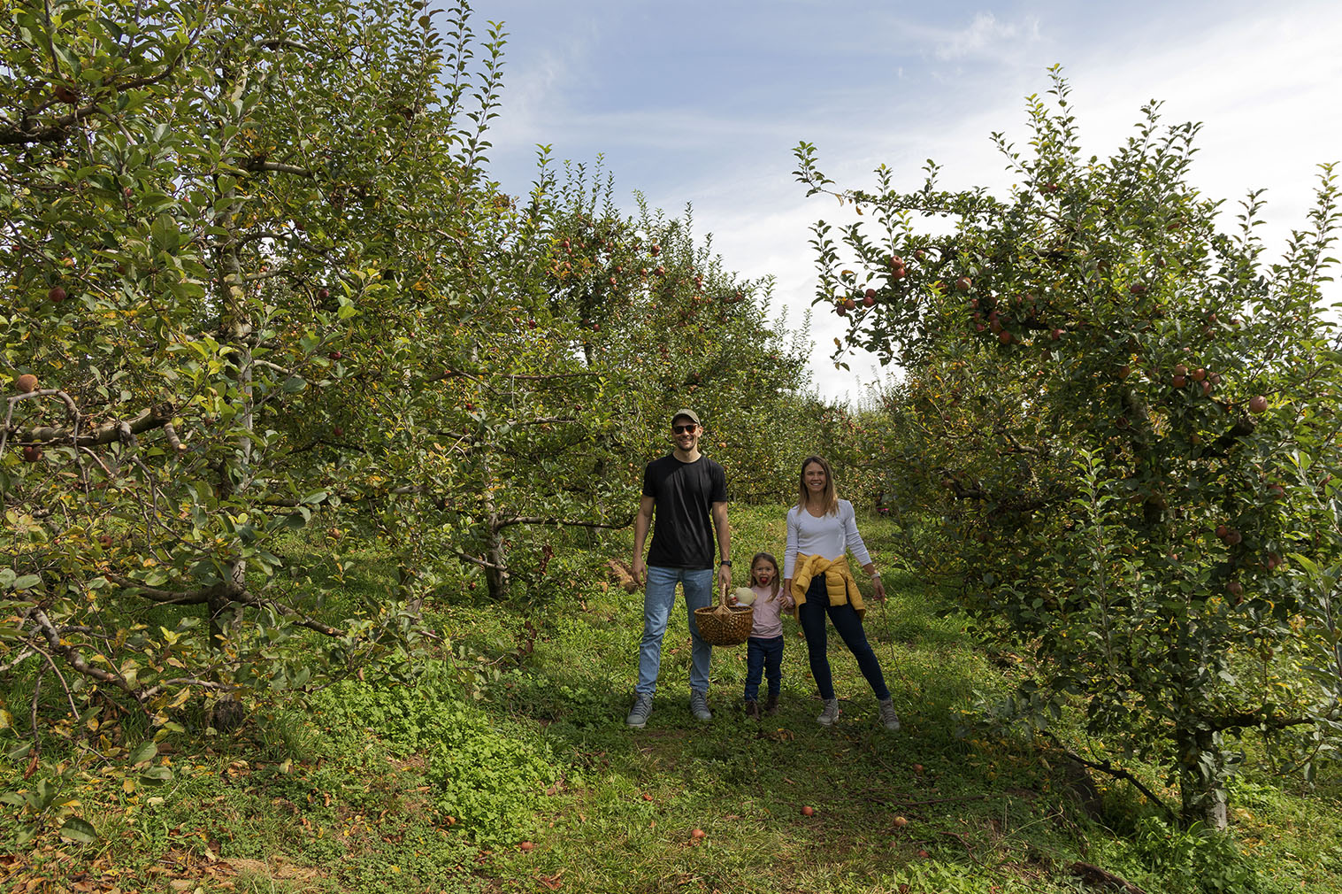 colha e pague bom jardim da serra