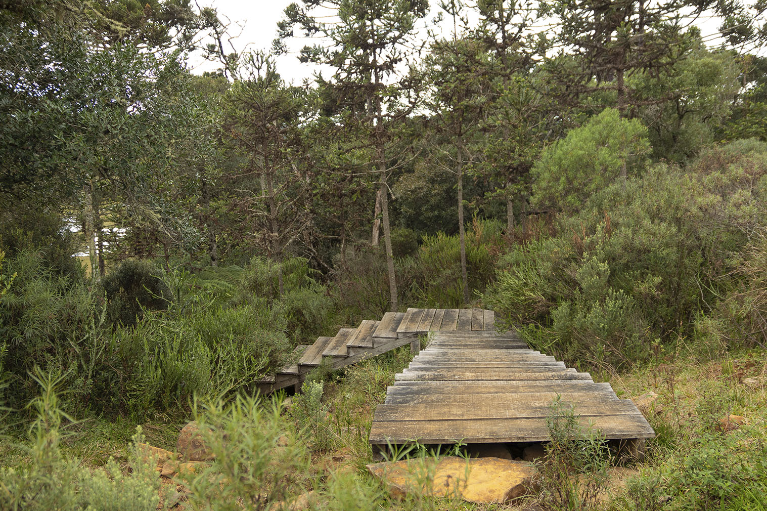 escada cânion e cachoeira