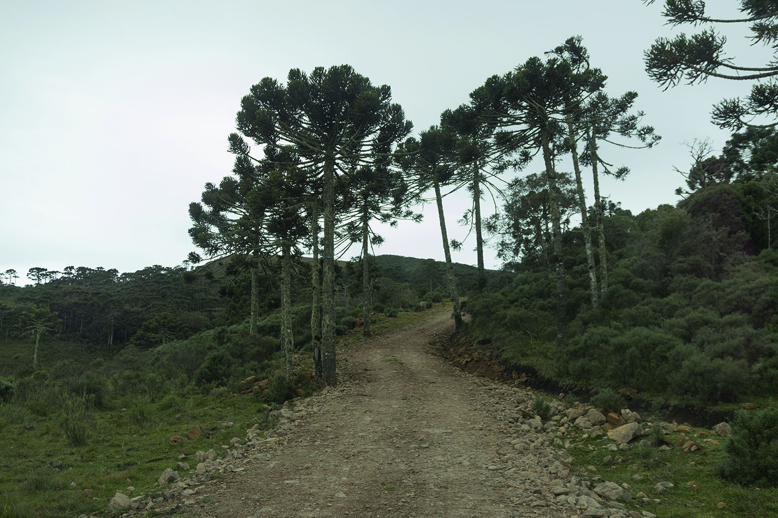 paisagem bom jardim da serra