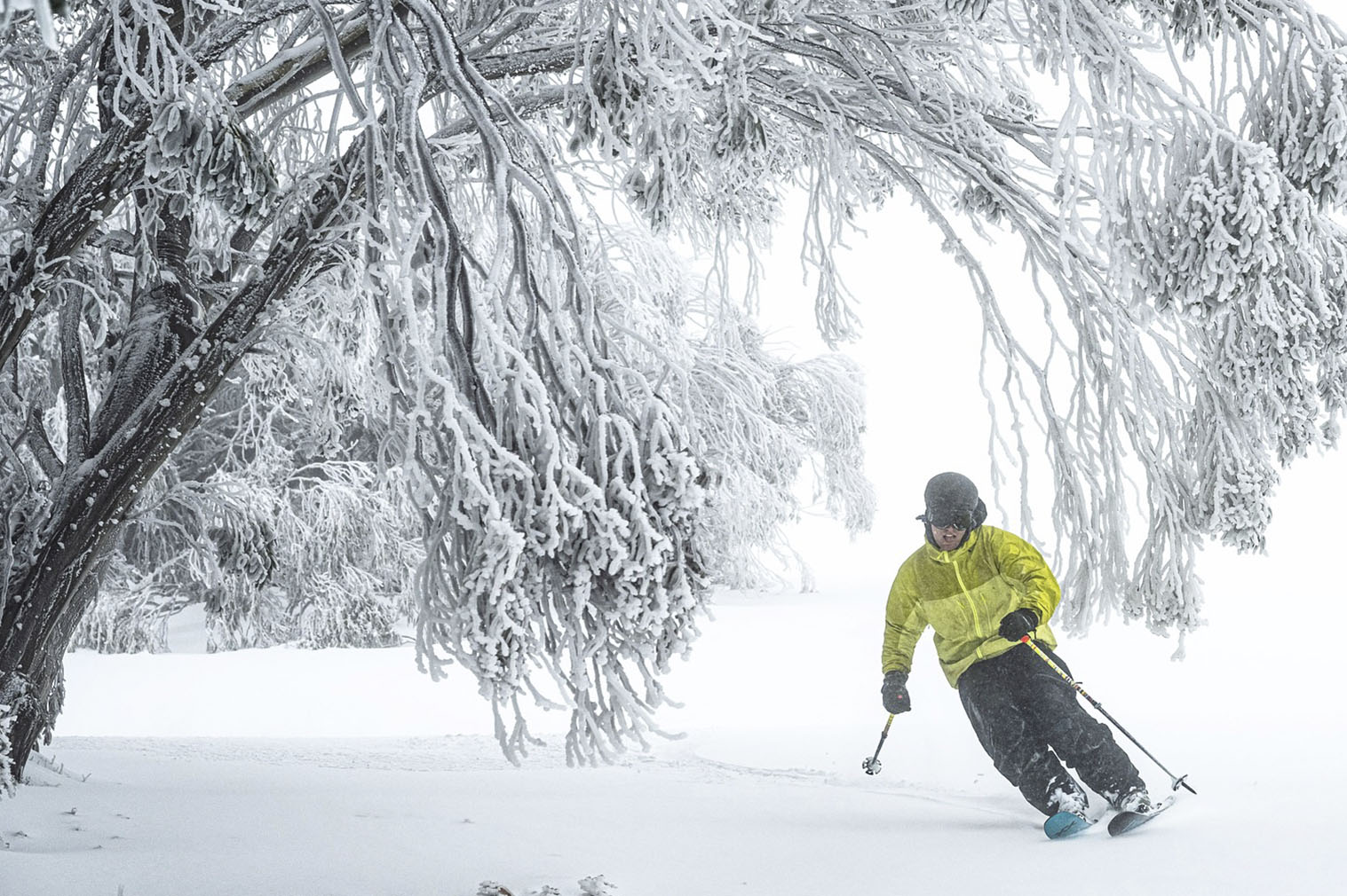 mt buller australia