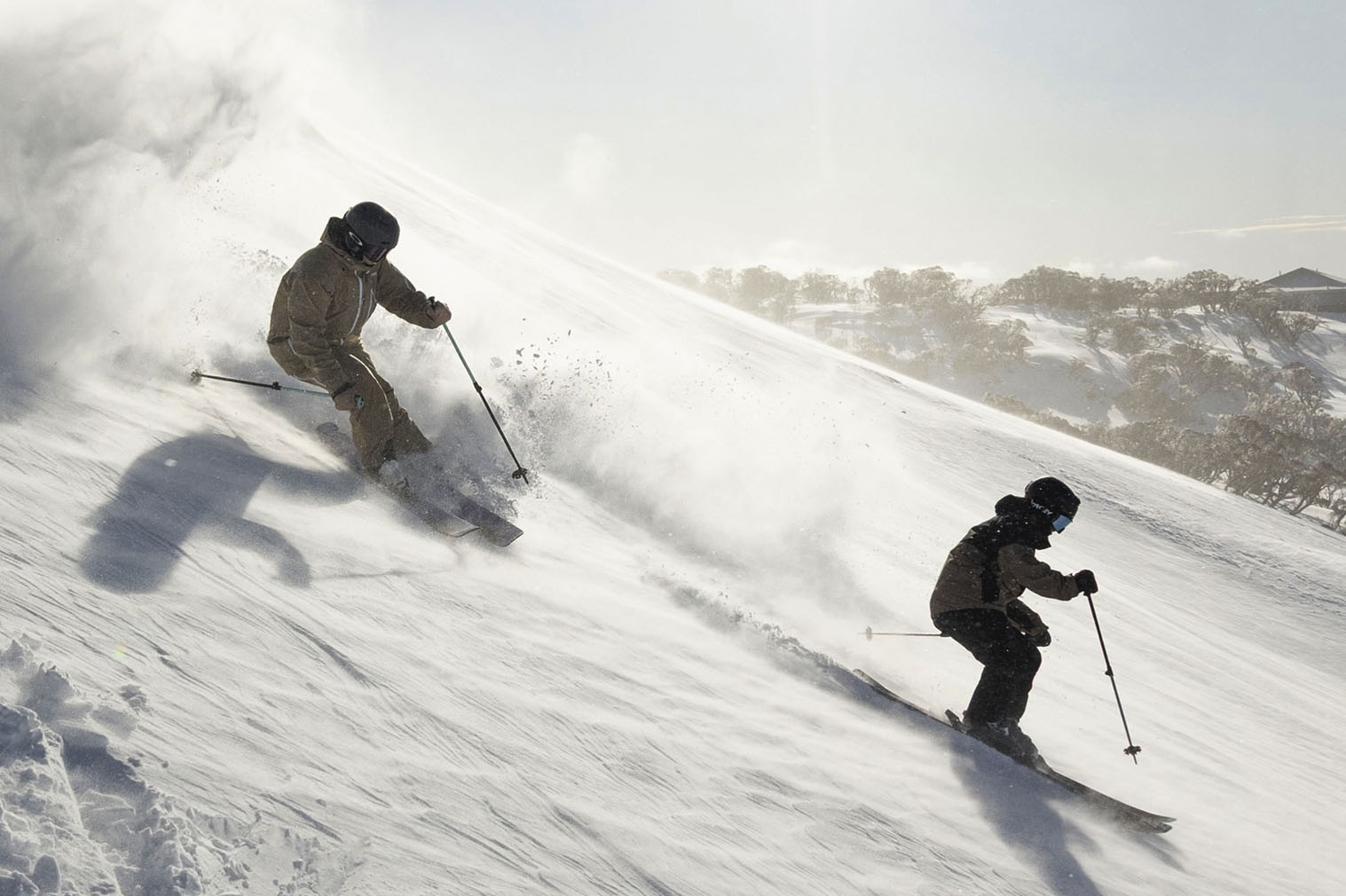 perischer australia neve