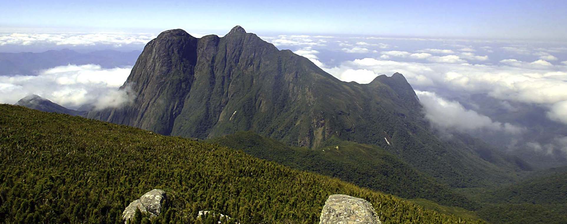 pico paraná